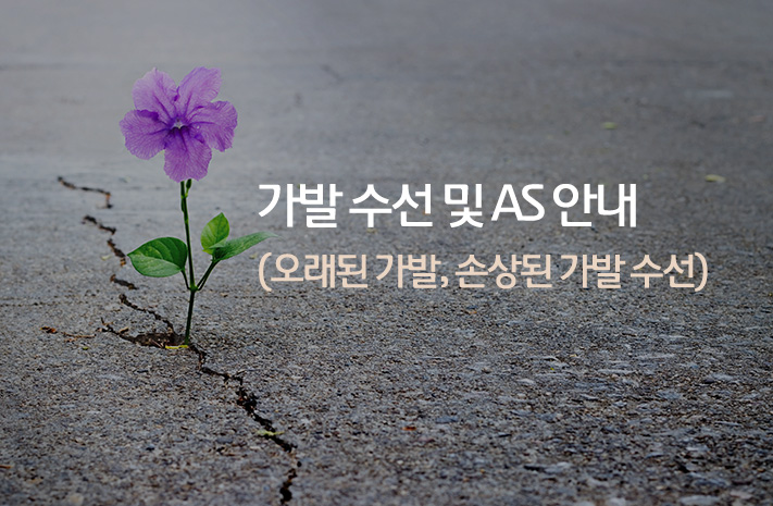 가발AS 및 수선